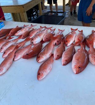 Florida Fun: Catching Red Snapper!